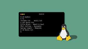 Linux Terminal Transfer File